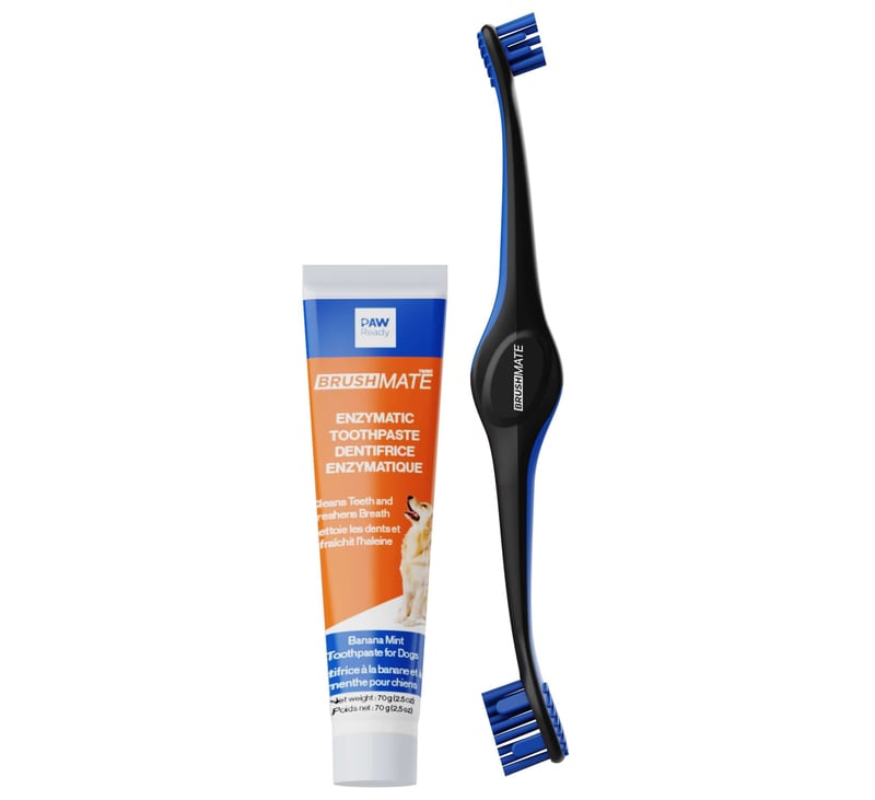Spazzola Meglio: La Campagna Paw Ready BrushMate