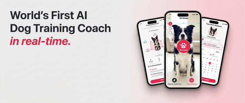 PaaaWOW: Sua Aventura de Treinamento Canino com IA Começa