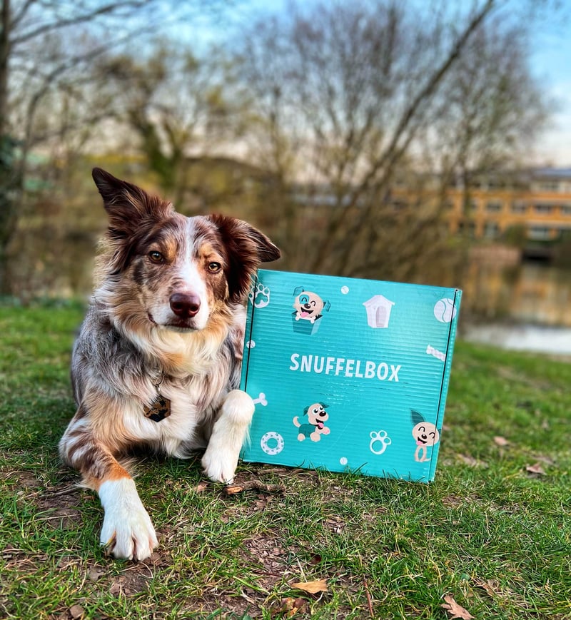 Dive into the Marietieme Magie with Snuffelbox! 🌊