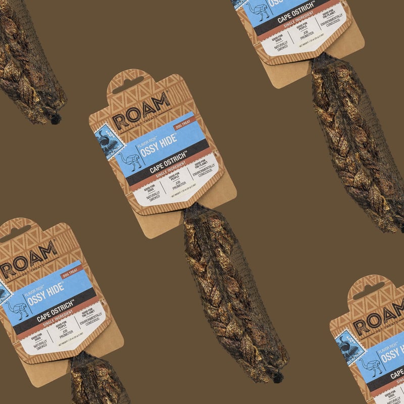 Chewy Adventure with ROAM®'s Ossy Hide 🐾