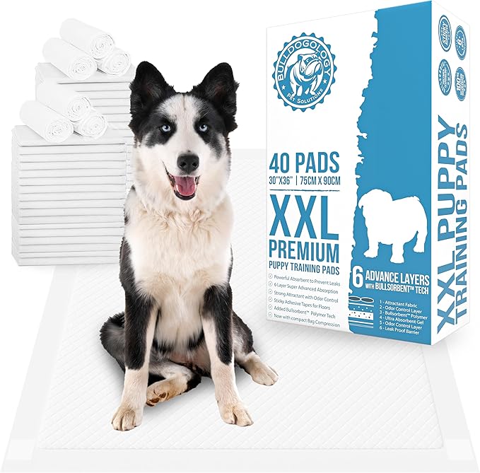 Bulldogology Puppy Pee Pads XXL with Adhesive Sticky Tape (30x30) (30-Count, White)