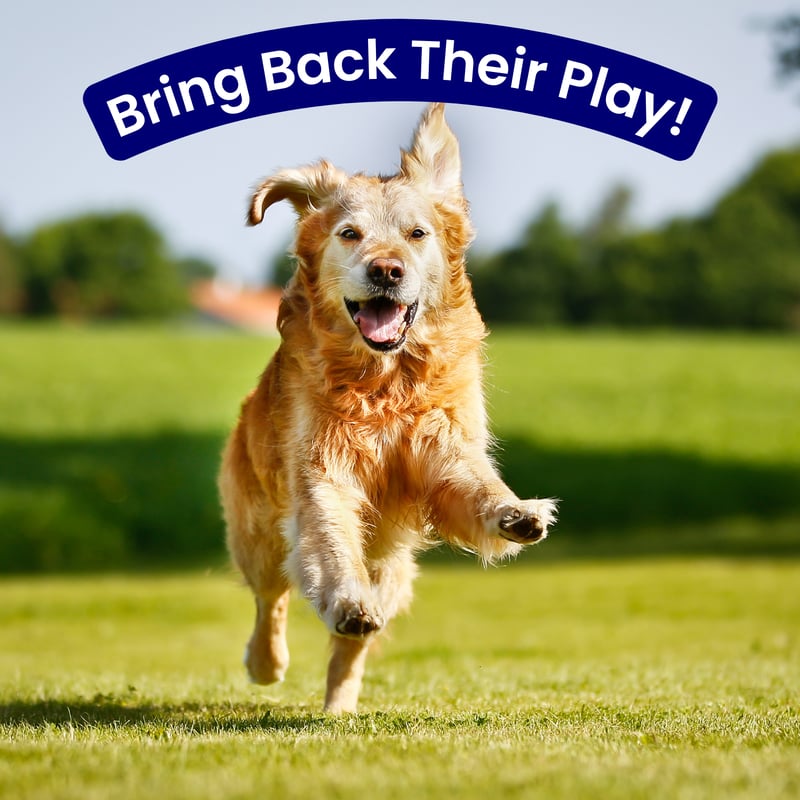 Pet Gently Breed Specific Joint Support Videos 🐕
