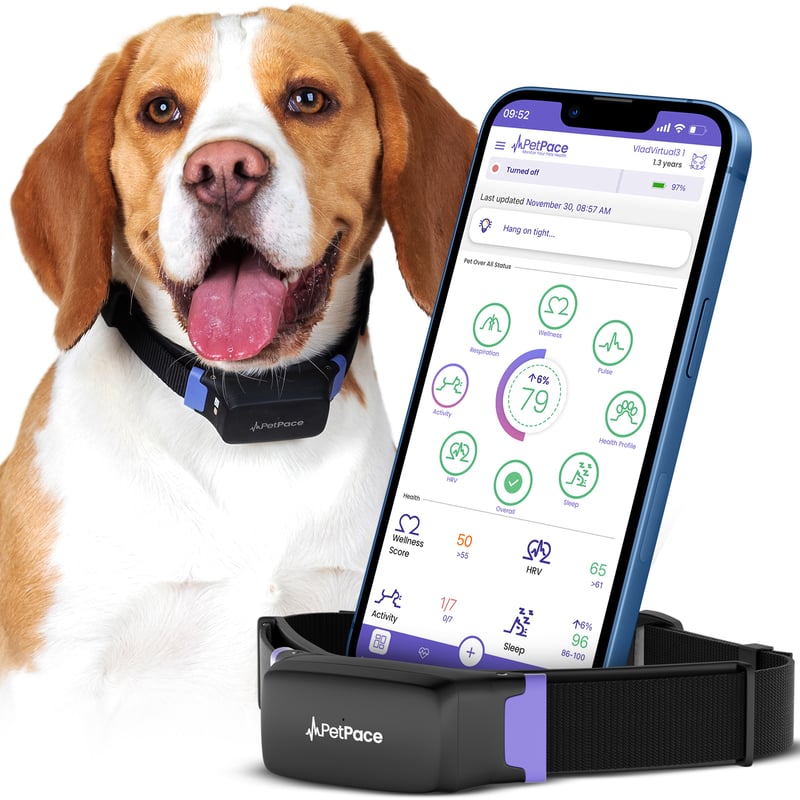 Dogfluencer Partnership 🐾: Promote PetPace’s AI Smart Health Collar & Boost Wellness for Pups!
