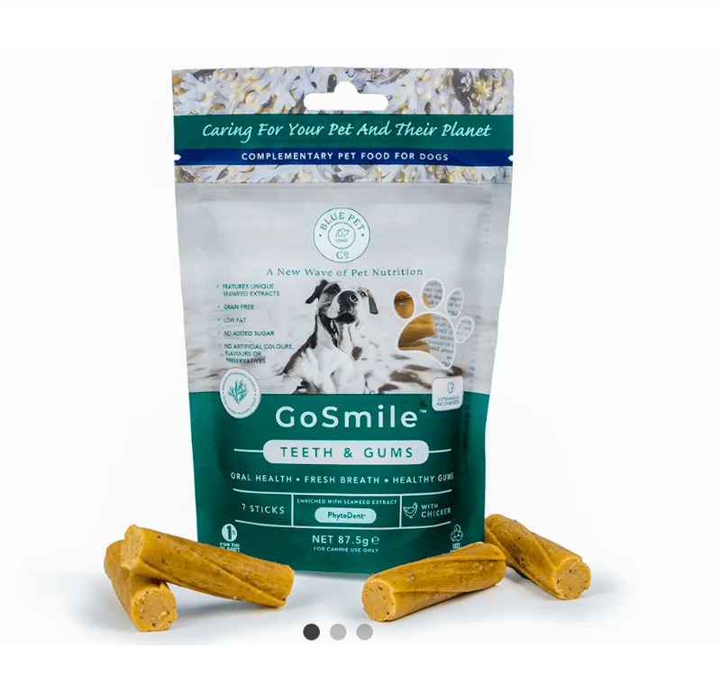 ☀️ Ready, Set, Shine! Summer Starts with Healthy Skin & Coat From Blue Pet Co.