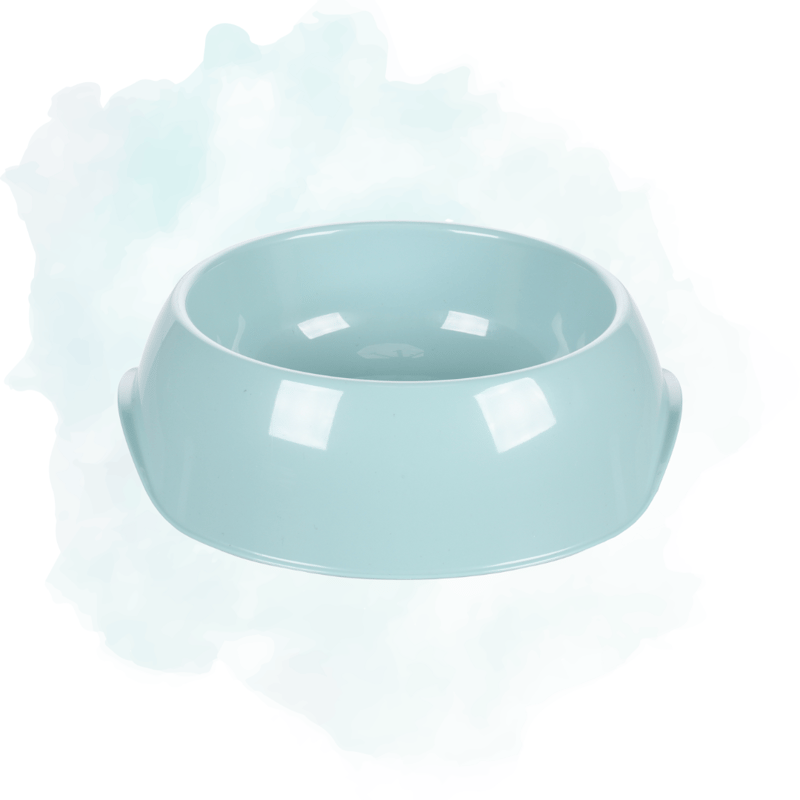 Help us promote our giveaway! (Small/Medium Dogs)