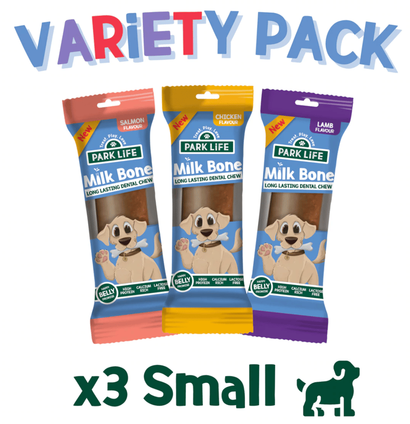 Park Life Campaign 1