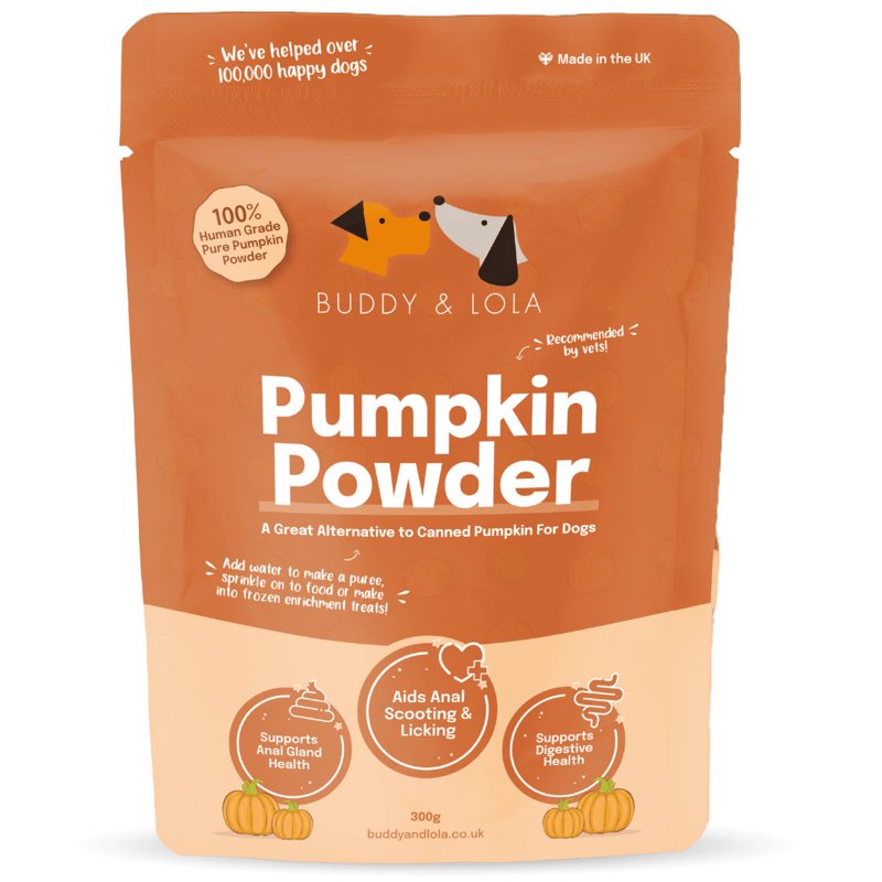 Fall in Love with Pumpkin: Happy, Healthy Dogs with Buddy & Lola 🍁