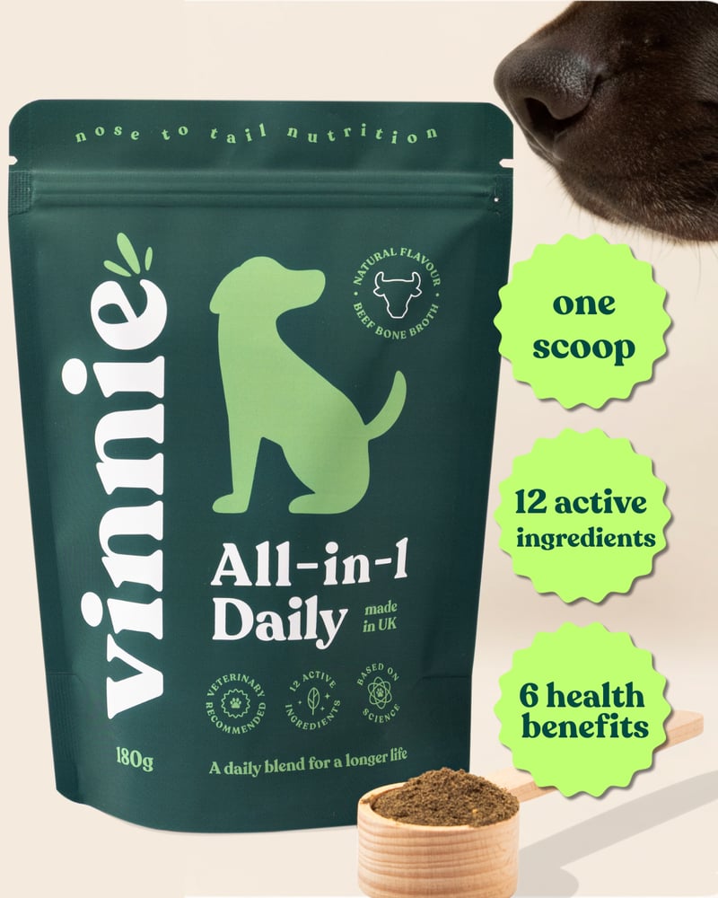 Vinnie All-in-One Superfood Campaign: Free gift for UK dog influencers