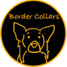 Border Collar Co- Custom Crystal Collars