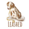 LEASHED ll handmade dog & owner accessories