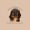 Little Lincoln Co