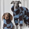 Hilary’s Hounds