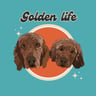 The Golden Life