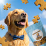PuzzlePup