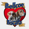 Bellcoe Biscuits