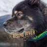 Risingriverllc