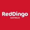 Red Dingo