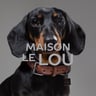 Maisonlelou