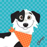 Champs Pet Kitchen
