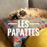 Les papattes