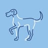 WagWellPet