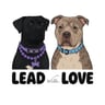 Lead With Love UK