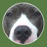 Green Butterfly All Natural Dog & Cat Treats