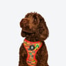 Kente Canines