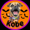 kobethejug