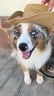 arlie_le_miniberger