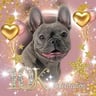 lulutheeblue