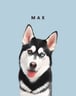 mistermaxthehusky