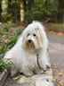 sanne-1411