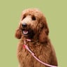 eviethedoodlelondon