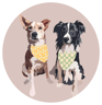 indydogslife