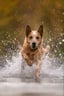 @johnnycashheeler