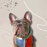 unagi-thefrenchie