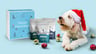 Christmas Gift Box