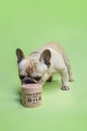 Liver & Kidney Supplement Chew