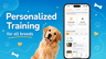 Dog Care - Expert Train