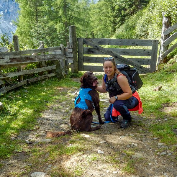 Badass Flatcoated Retriever dog