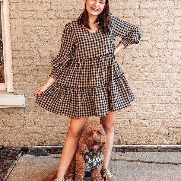 Cute Mini Doodle dog