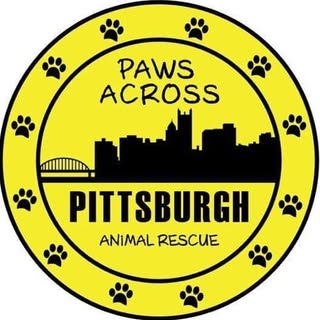 Paws Across Pittsburgh