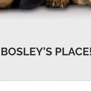 Bosley's Place