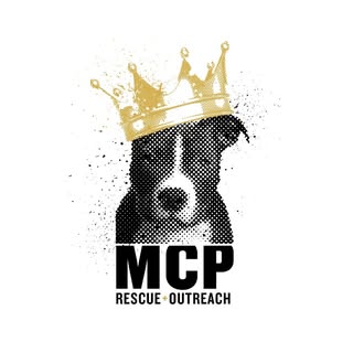 MCP Rescue & Outreach Chicago