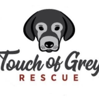 Touch of Grey Rescue