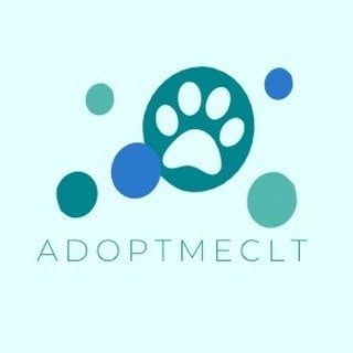 Adopt Me CLT *Rescue Dog Features*
