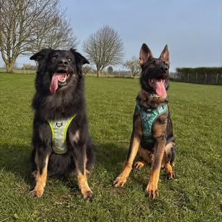 Winnie & Chief 🐾✨