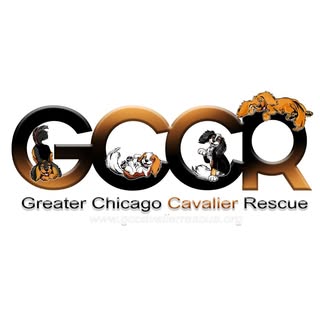GreaterChicagoCavalierRescue