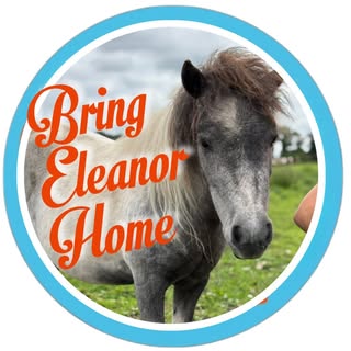 My Lovely Horse Animal Rescue